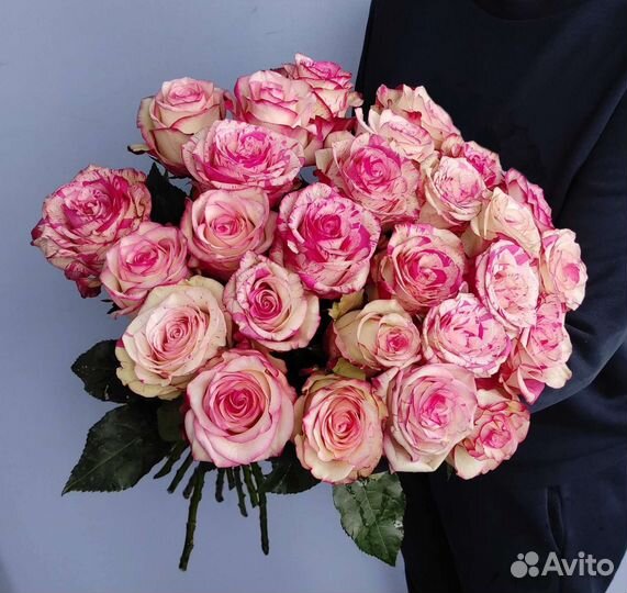 Роза Эквадор 25 роз с доставкой