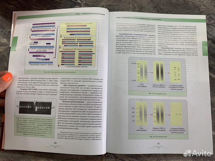 Атлас руководство иммунология