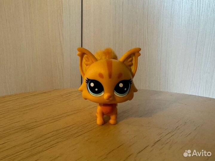 Littlest pet shop lsp мейн кун