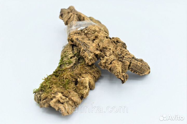 Кора пробкового дерева - укрытие для рептилий