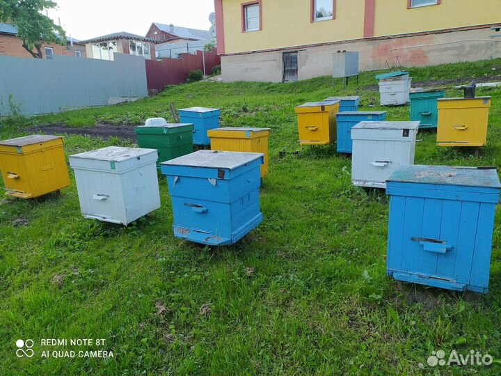 Улей для пчел бу