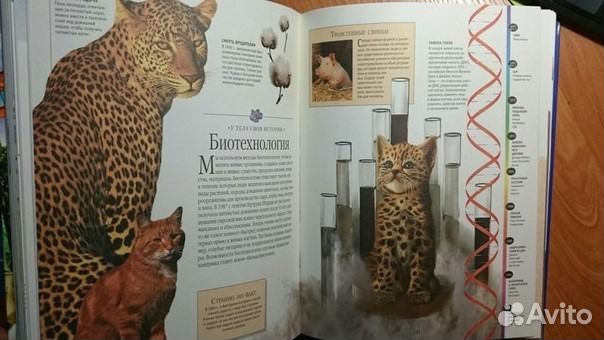 Большая детская энциклопедия от Тины Канделаки