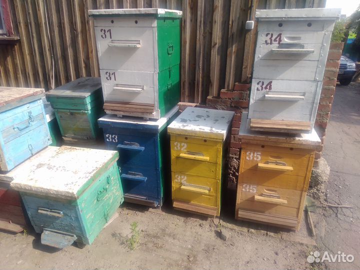 Улья корпусные