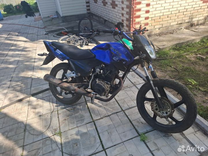 Райсер тигр 150