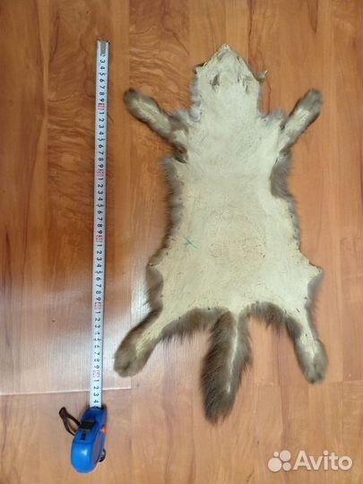 Шкурка соболя, отличная выделка