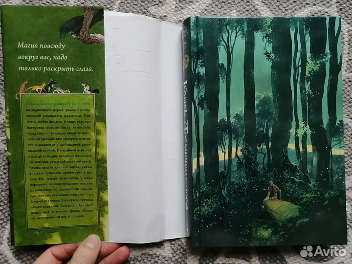 Кошки дремучего леса