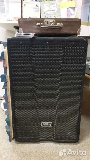 Колонки акустическая система Soundking KJ15A