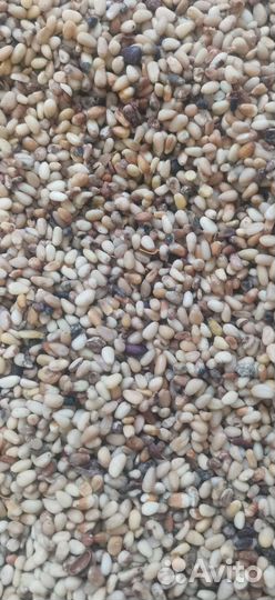 Биодобавка Кедровый орех очищенный