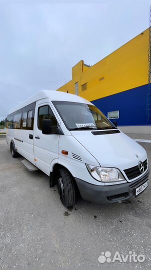 Заказ автобуса Аренда микроавтобуса