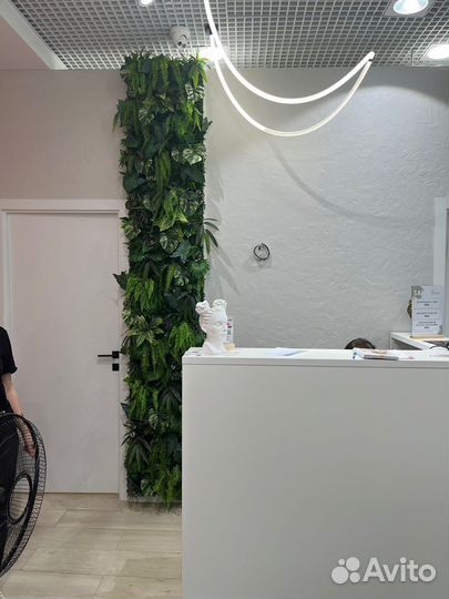 Фитостены, фитопанно и потолочное озеленение