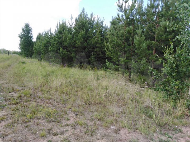 Участок 32 сот. (ИЖС)