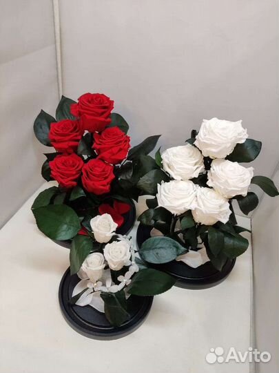 Подарок на новый год / Роза в колбе