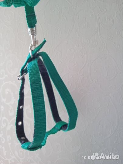 Шлейка,поводок-рулетка,пистолет-катапульта д\корма