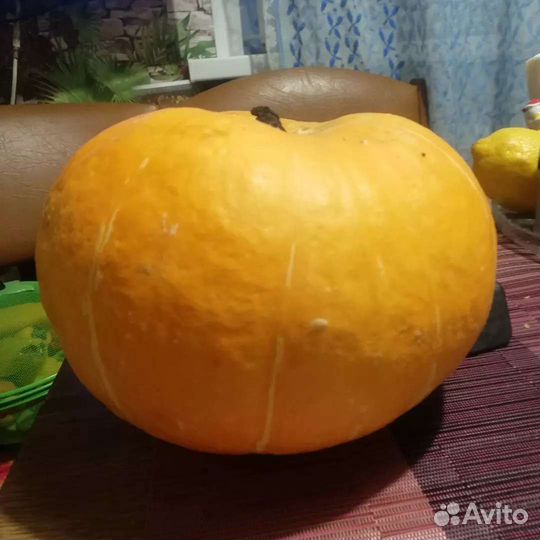 Семена томатов коллекционных