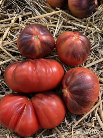 Семена томата сорт Синяя груша