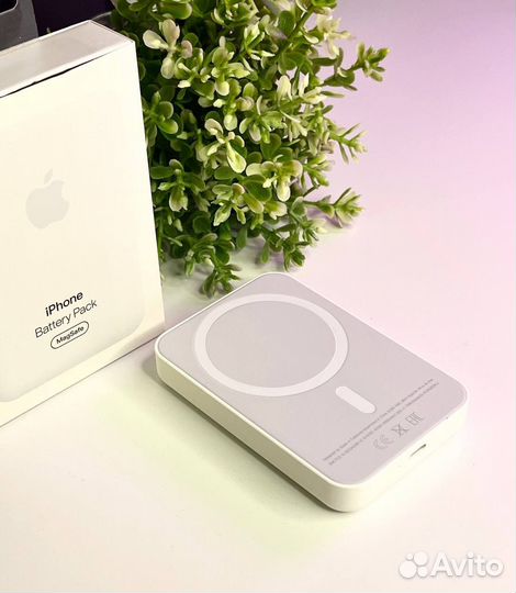 Apple battery pack type-C