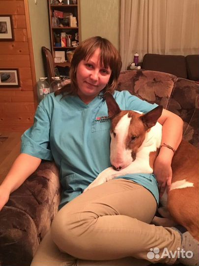 Кастрация кошек и собак, выезд на дом