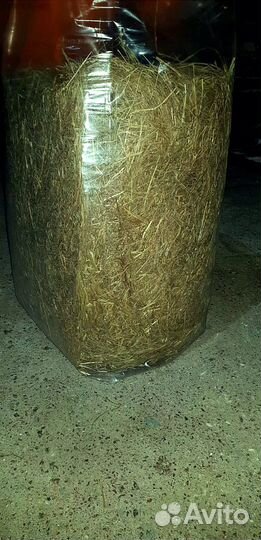 Сено солома в Пос Аннино