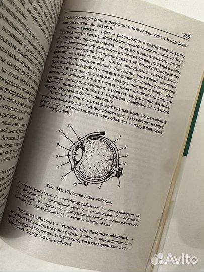 Учебник Репетитор по биологии ЕГЭ