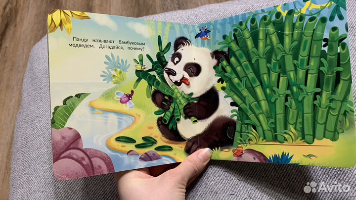 Детская книжка с окошками Зоопарк