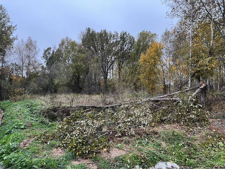 Участок 12,5 сот. (СНТ, ДНП)