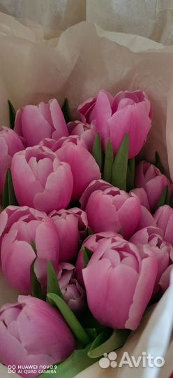 Тюльпаны подарочный набор