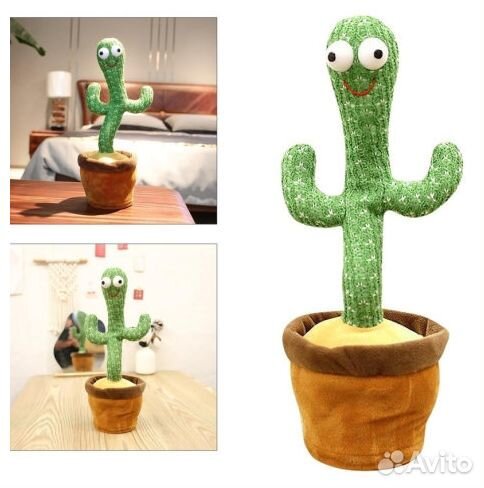 Танцующий и поющий кактус