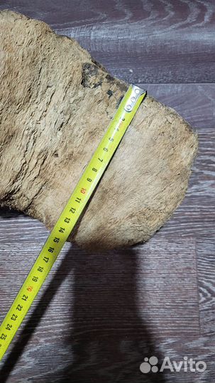 Коряги дрифтвуд