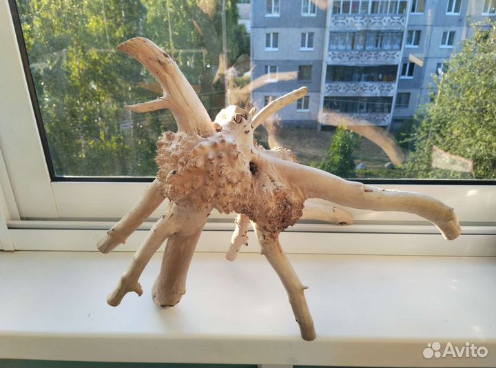 Коряга в террариум или для декора