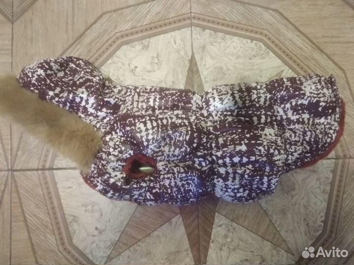 Одежда для маленькой собачки