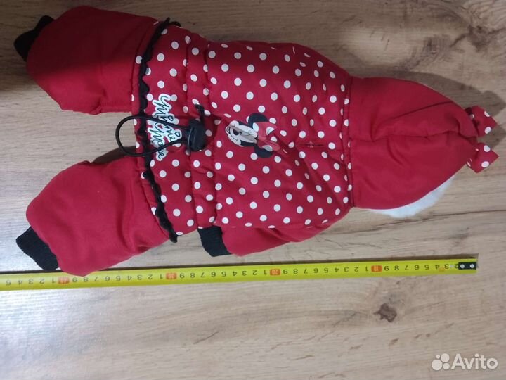 Одежда для собак мелких пород