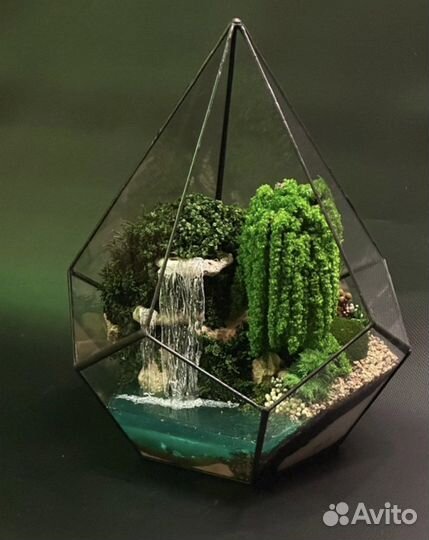 Моссариум изделие из стабилизированого мха