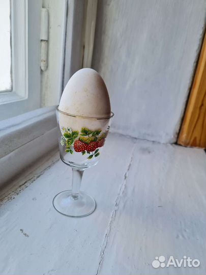 Яйцо гусиное