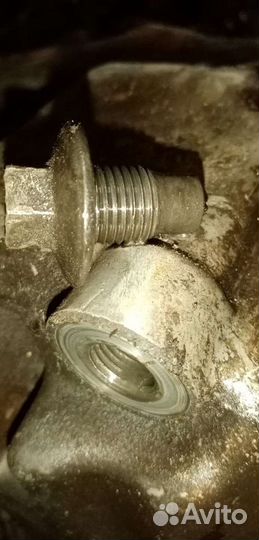 Двигатель форд фокус 2 1.8