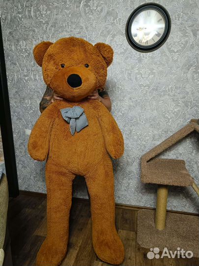 Большие плюшевые медведи