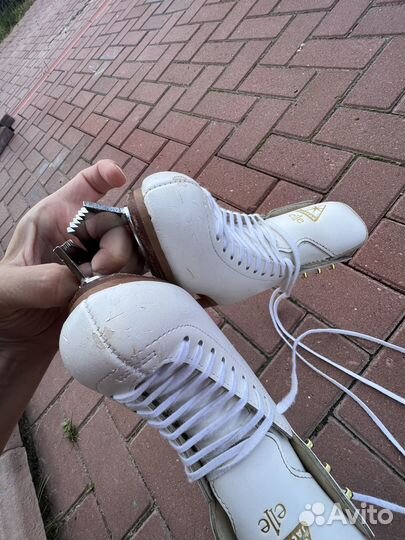 Коньки jackson elle 20см