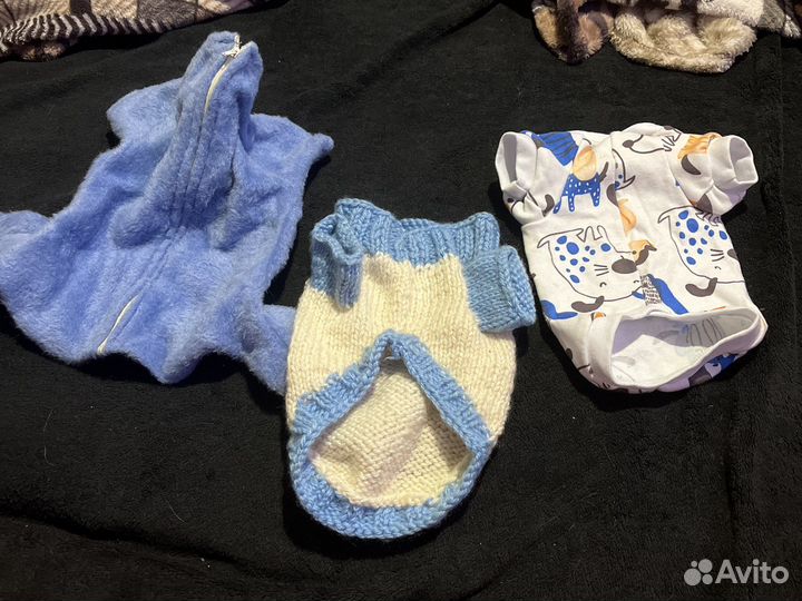 Одежда для собаки маленькой (ручная работа)