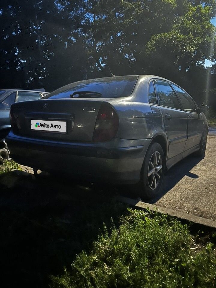Citroen C5: фото владельца