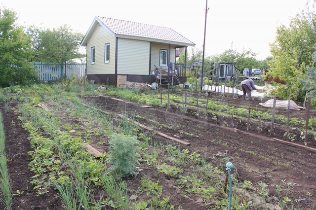 Дом в новосемейкино. Снт сок самара. Старосемейкино дачи. Дача земледелец старосемейкино. Дача в новосемейкино.