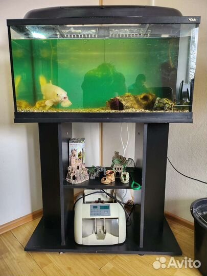 Аквариум