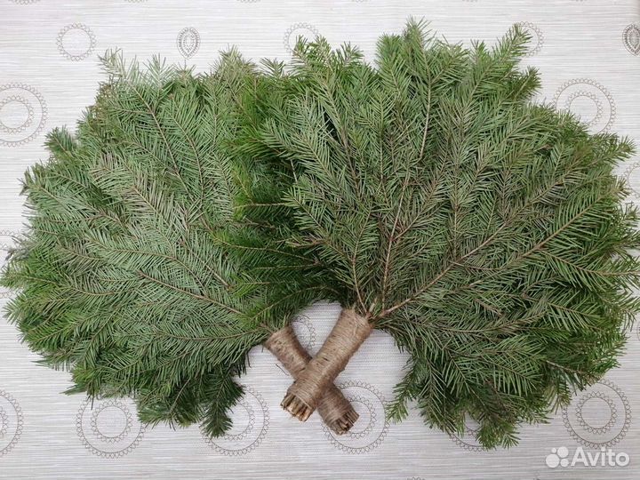 Пихтовый веник для бани