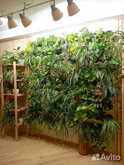 Озеленение, уход за растениями, фитодизайн