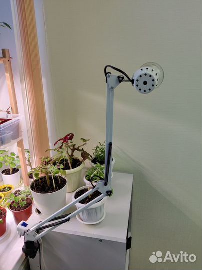 Натриевая лампа для подсветки растений