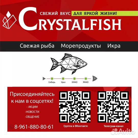 Красная икра горбуши