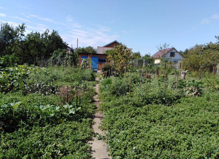 Участок 5 сот. (СНТ, ДНП)