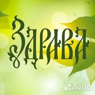 Администратор в студию Здрава