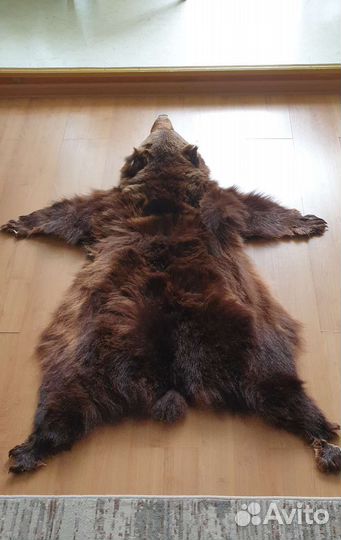 Шкура медведя