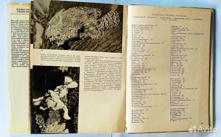 Иллюстрированная энциклопедия рыб