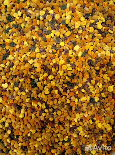 Пыльца цветочная (обножка) Пенза 2023г