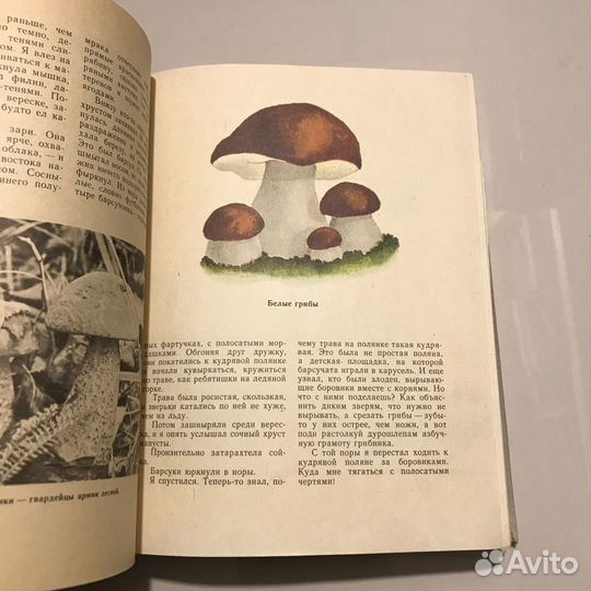 Глобус